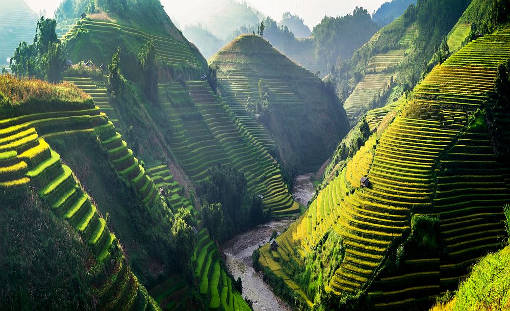 Paysage en terrasses verdoyantes en Chine du Sud, vallée montagneuse baignée de lumière