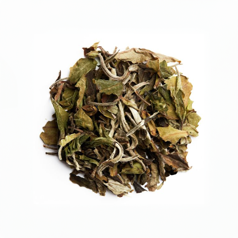 Bai Mu Dan Bio – Thé Blanc Grand Cru aux Notes Florales et Fruitées