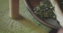 étapes de production et de la préparation du matcha cérémonie d'Uji Bio.